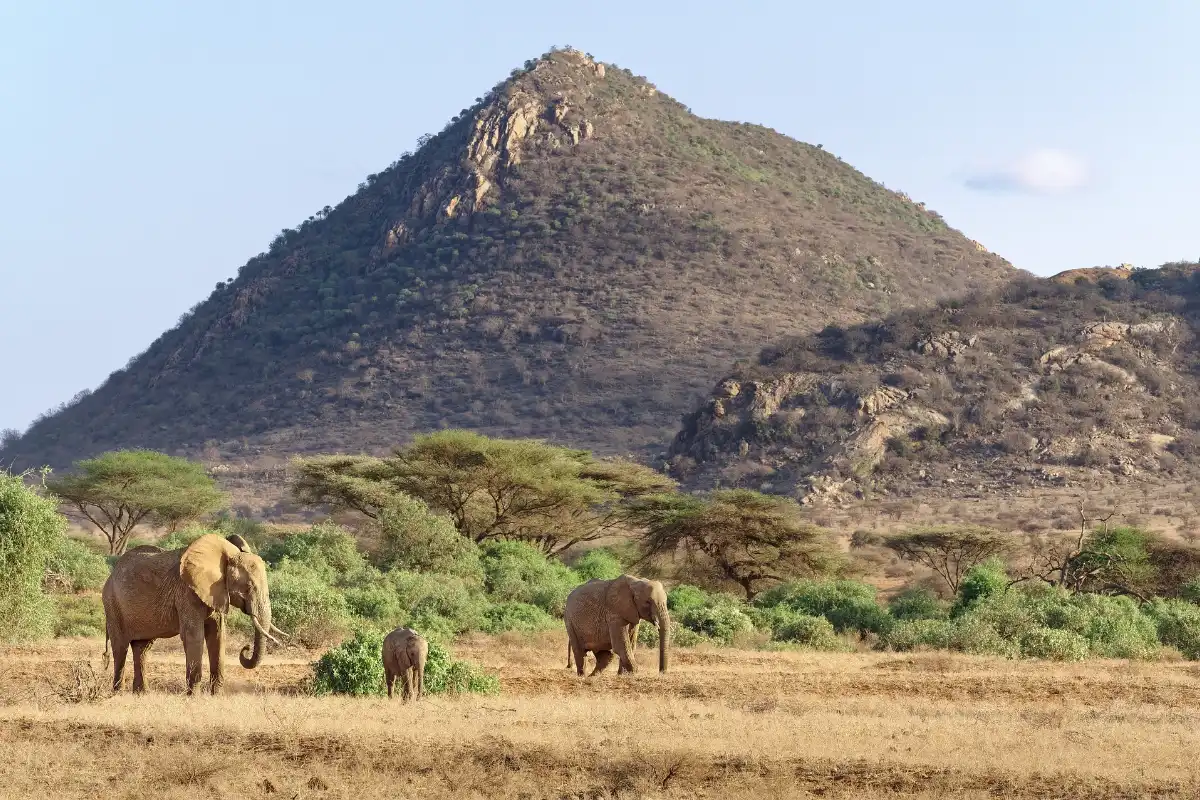 4 Day Into Kenya - Samburu National Reserve